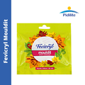 Pidilite Fevicryl Mouldit Epoxy Compound 50g for murals decor and 3D art