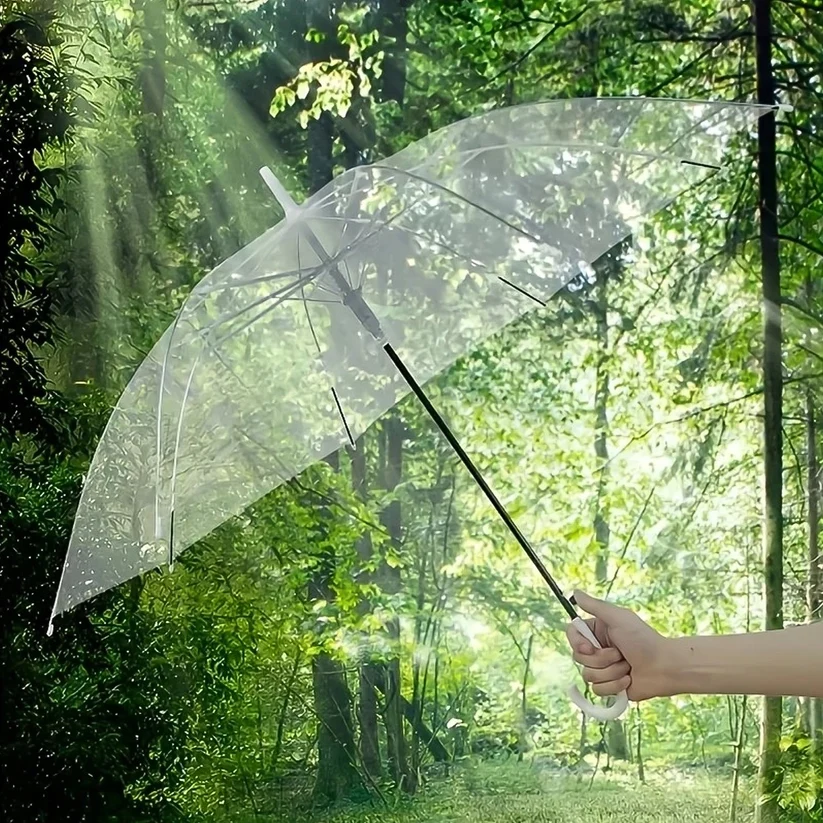 Person holding transparent dome umbrella in a lush green forest with sunlight
