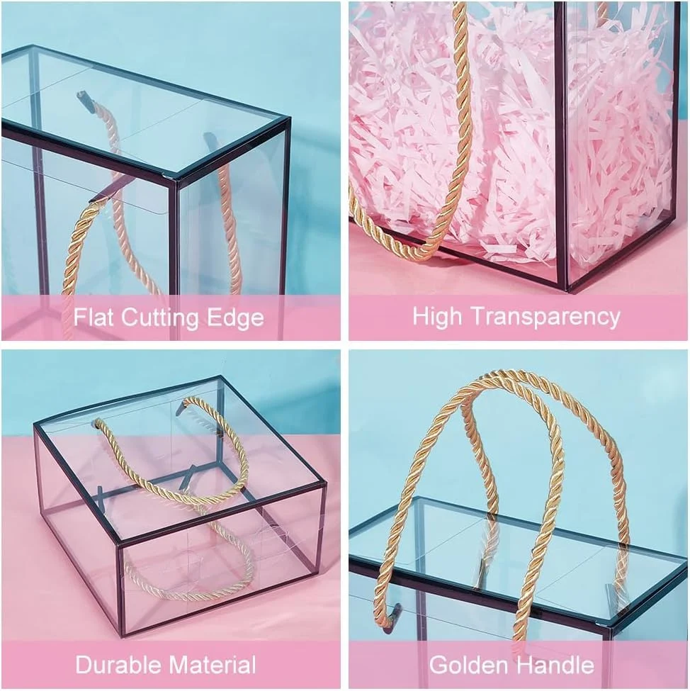 Features of transparent black border gift bag - flat cutting edge, high transparency, durable material and golden handle