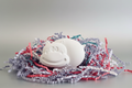 White hippo plaster figure with silver background and colourful shredded paper